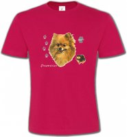 Spitz Poméranien (A)