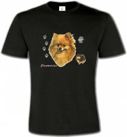 Spitz Poméranien (A)