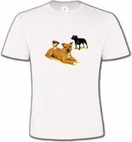 Famille Staffordshire (F)