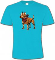 Fun Staffordshire (K)