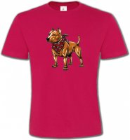 Fun Staffordshire (K)