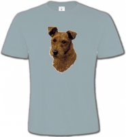 Terrier Irlandais (H)