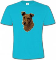 Terrier Irlandais (H)