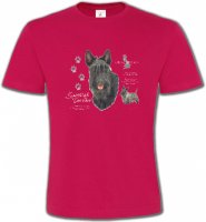 Terrier écossais (A)