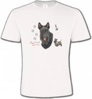 Terrier écossais (A)