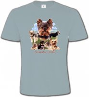 Yorkshire terrier Paysage (B)