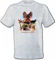 Yorkshire terrier Paysage (B)