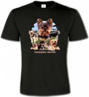 Yorkshire terrier Paysage (B)