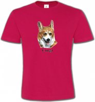 Tête de Welsh Corgi (B)