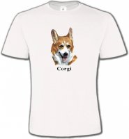 Tête de Welsh Corgi (B)