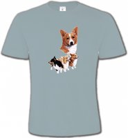 Famille Welsh Corgi (C)