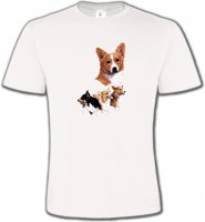 Famille Welsh Corgi (C)