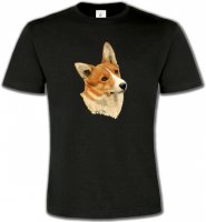 Tête de Welsh Corgi (E)