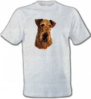Welsh Terrier (L)