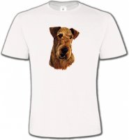 Welsh Terrier (L)