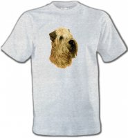 Wheaten (A)