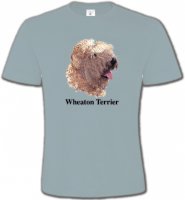 Wheaten Terrier (J)