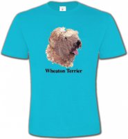 Wheaten Terrier (J)