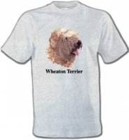 Wheaten Terrier (J)