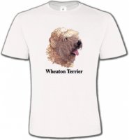 Wheaten Terrier (J)