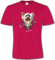 Tête de Yorkshire (A)