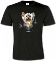 Tête de Yorkshire (A)