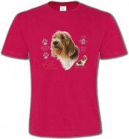 Basset Hound Vendéen