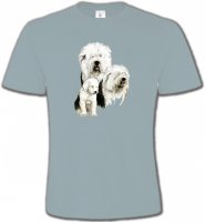 Famille Bobtail Berger Anglais (D)