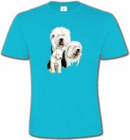 Famille Bobtail Berger Anglais (D)