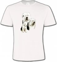 Famille Bobtail Berger Anglais (D)