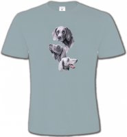 Braque de Weimar gris