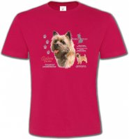 Cairn Terrier (F)