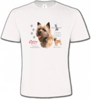 Cairn Terrier (F)