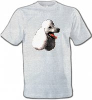 Tête de caniche (F)