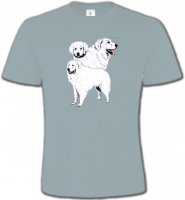 Kuvasz blanc (B)