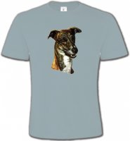 Lévrier Italien (D)