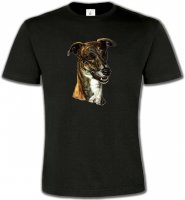 Lévrier Italien (D)