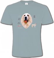 Montagne des Pyrénées (A)