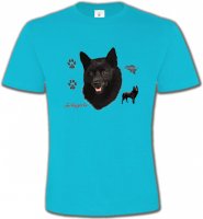 Schipperke (B)