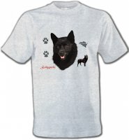 Schipperke (B)