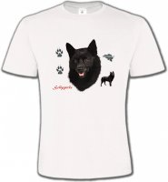 Schipperke (B)