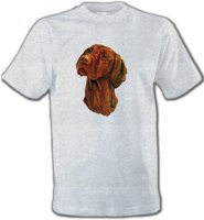 Vizsla hongrois