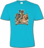 chiots yorkshire Terrier (G)